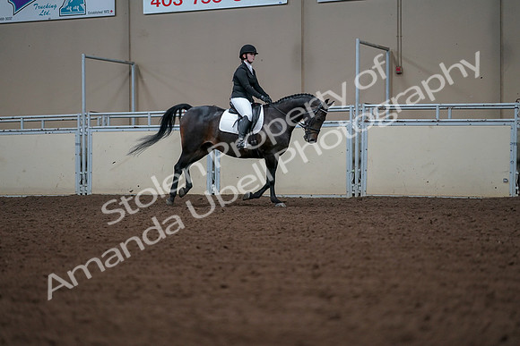 2019 Morgan Horse Show - Aug 30, 2019 - 18627