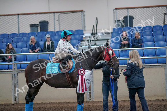 2019 Morgan Horse Show - Aug 31, 2019 - 10195