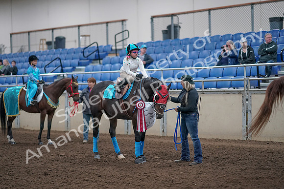 2019 Morgan Horse Show - Aug 31, 2019 - 10115