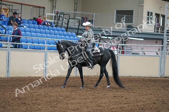 2020 - AB Morgan Horse - Fri, Sept 04 - 03504