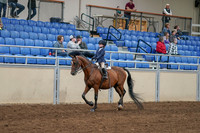 2020 - AB Morgan Horse - Sat, Sept 05 - 01739