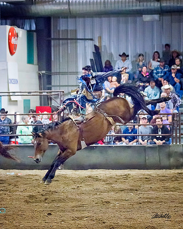 rodeo - 027