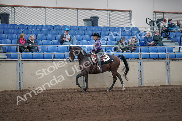 2019 Morgan Horse Show - Aug 31, 2019 - 10626