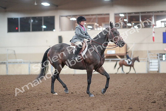 2019 Morgan Horse Show - Aug 31, 2019 - 19641
