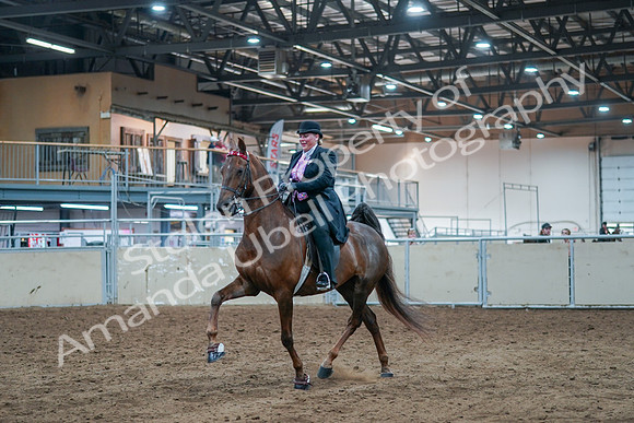 2021 - Alberta Charity Horse Show - Fri, July 09 - 14794