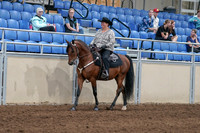 2020 - AB Morgan Horse - Fri, Sept 04 - 05695