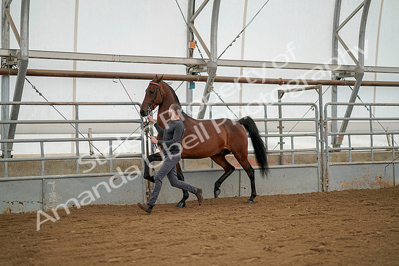 July 19, 2019 - 1241