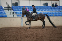 2019 Morgan Horse Show - Aug 30, 2019 - 19872