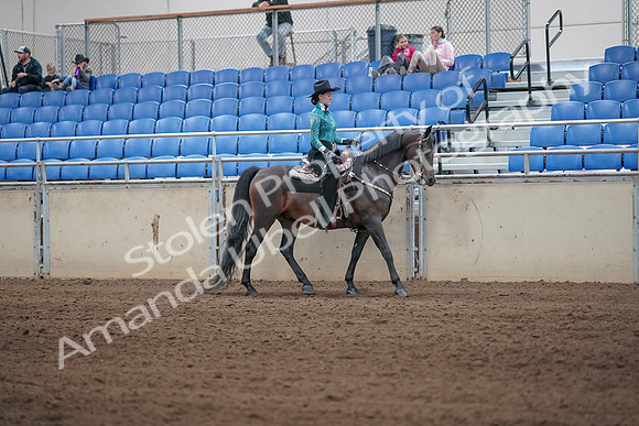 2019 Morgan Horse Show - Sept 01, 2019 - 07104