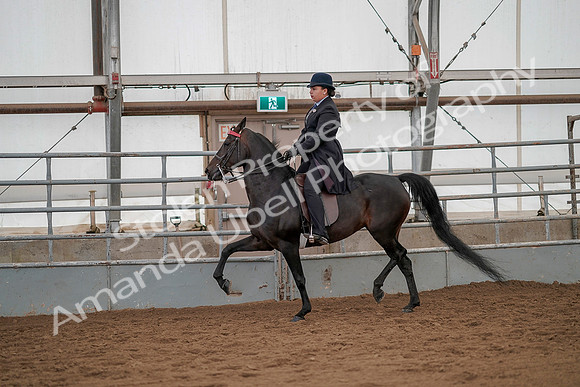 July 20, 2019 - 04498