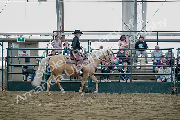 July 21, 2019 - 06855