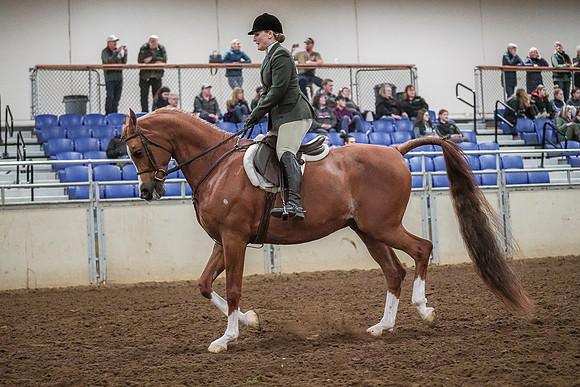 Spring Fling - Saturday - April 20, 2019  -  04526
