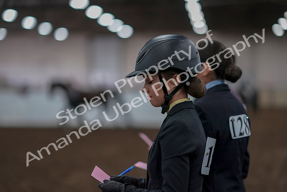 2019 Morgan Horse Show - Aug 31, 2019 - 03942