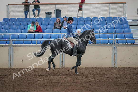 2019 Morgan Horse Show - Aug 31, 2019 - 07532