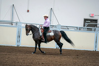 2020 - AB Morgan Horse - Fri, Sept 04 - 00541