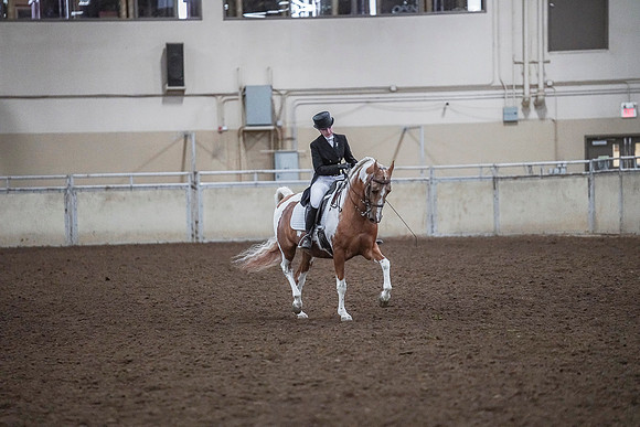 Spring Fling - Saturday - April 20, 2019  -  03715