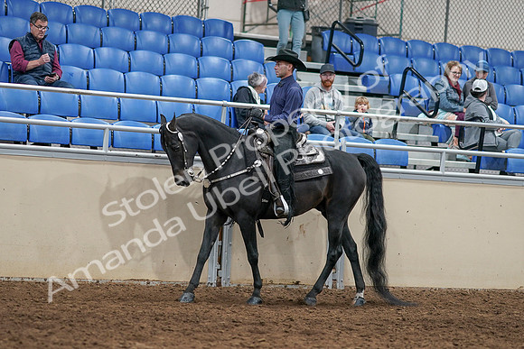 2020 - AB Morgan Horse - Sun, Sept 06 - 07516