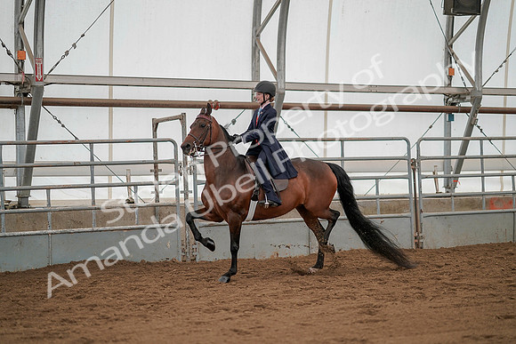 July 20, 2019 - 03740
