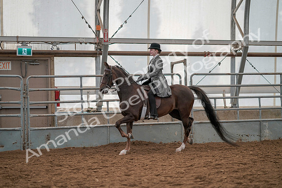 July 19, 2019 - 12884
