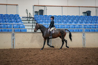 2019 Morgan Horse Show - Aug 30, 2019 - 23120