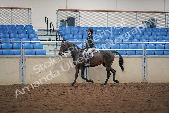 2019 Morgan Horse Show - Aug 30, 2019 - 23120