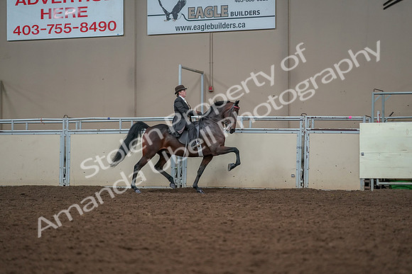 2019 Morgan Horse Show - Aug 30, 2019 - 28110