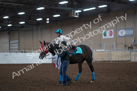 2019 Morgan Horse Show - Aug 31, 2019 - 10103