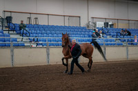 2019 Morgan Horse Show - Aug 31, 2019 - 00540