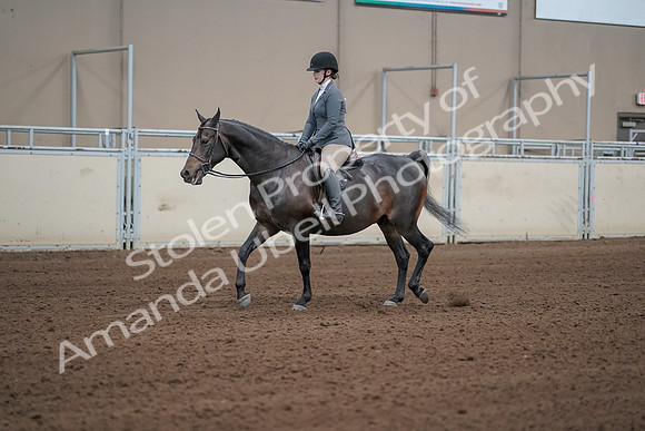 2019 Morgan Horse Show - Sept 01, 2019 - 10953