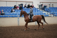 2019 Morgan Horse Show - Aug 31, 2019 - 13773