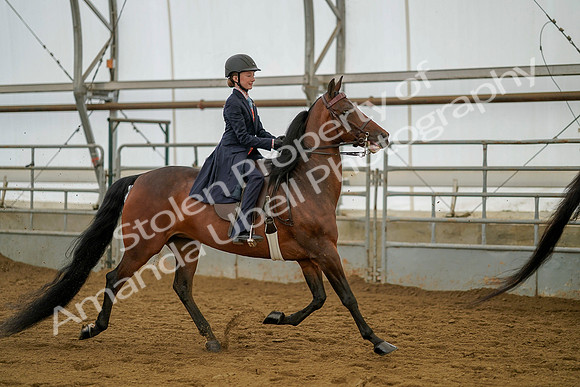 July 20, 2019 - 03819