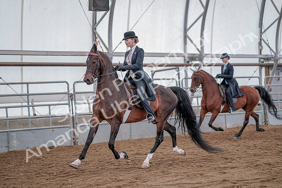 July 20, 2019 - 14529