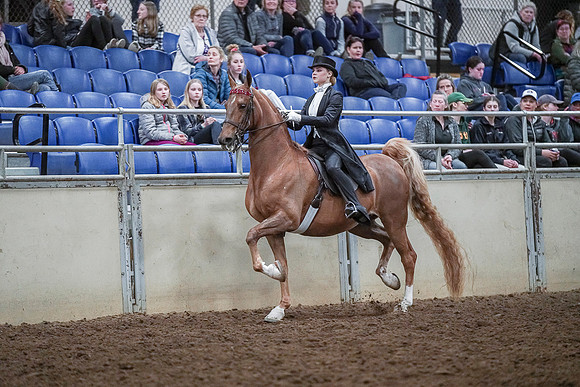 Spring Fling - Saturday - April 20, 2019  -  04326
