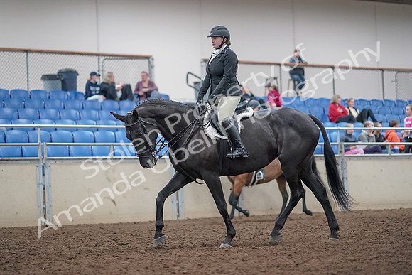 2019 Morgan Horse Show - Aug 31, 2019 - 14898