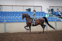 2019 Morgan Horse Show - Aug 30, 2019 - 17779