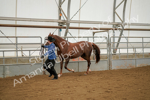 July 19, 2019 - 1259
