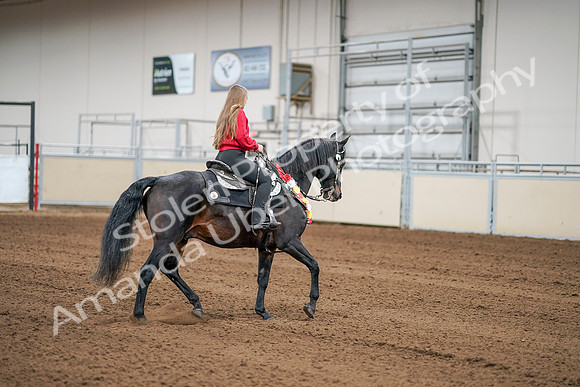 2020 - AB Morgan Horse - Sat, Sept 05 - 10443