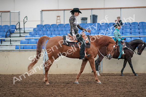 2019 Morgan Horse Show - Aug 30, 2019 - 16974