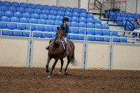 2020 - AB Morgan Horse - Sun, Sept 06 - 07679