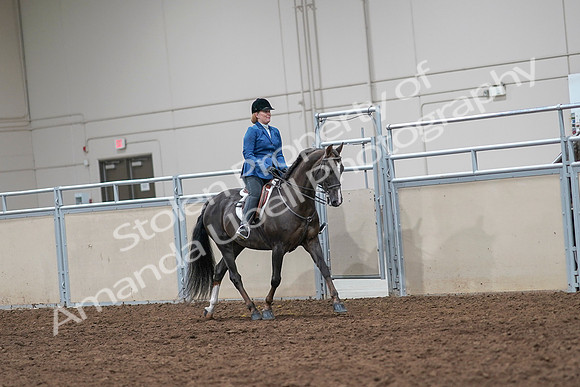 2020 - AB Morgan Horse - Sat, Sept 05 - 05065