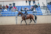 2019 Morgan Horse Show - Aug 31, 2019 - 21378