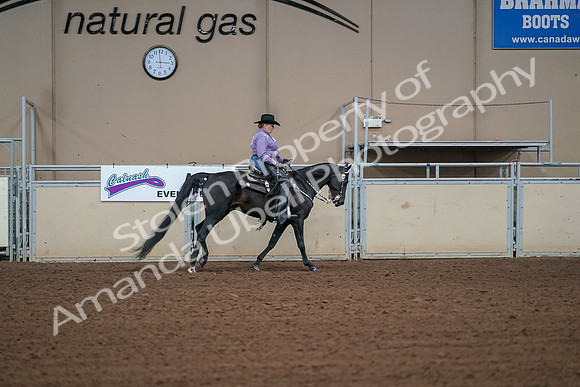 2019 Morgan Horse Show - Aug 30, 2019 - 16991