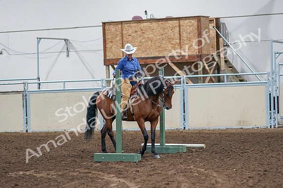 2020 - AB Morgan Horse - Fri, Sept 04 - 00124