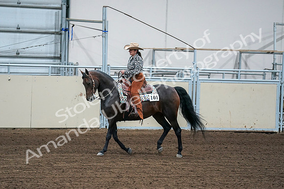 2020 - AB Morgan Horse - Fri, Sept 04 - 00402