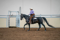 2020 - AB Morgan Horse - Sat, Sept 05 - 05663