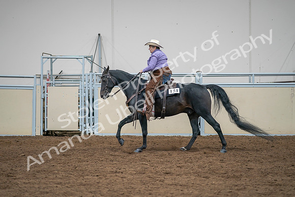 2020 - AB Morgan Horse - Sat, Sept 05 - 05663