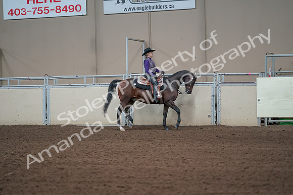 2019 Morgan Horse Show - Aug 31, 2019 - 10738