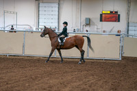 2020 - AB Morgan Horse - Fri, Sept 04 - 02000