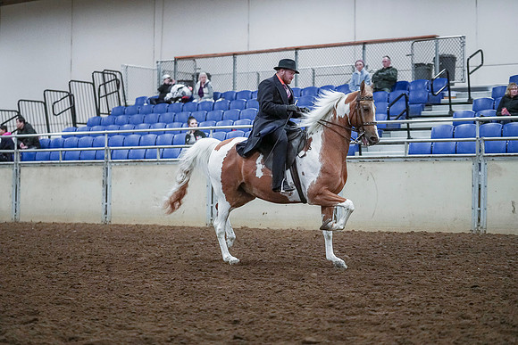 Spring Fling - Saturday - April 20, 2019  -  00767