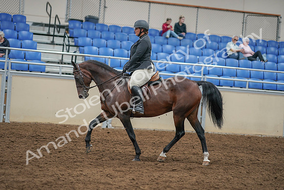 2020 - AB Morgan Horse - Sat, Sept 05 - 09316